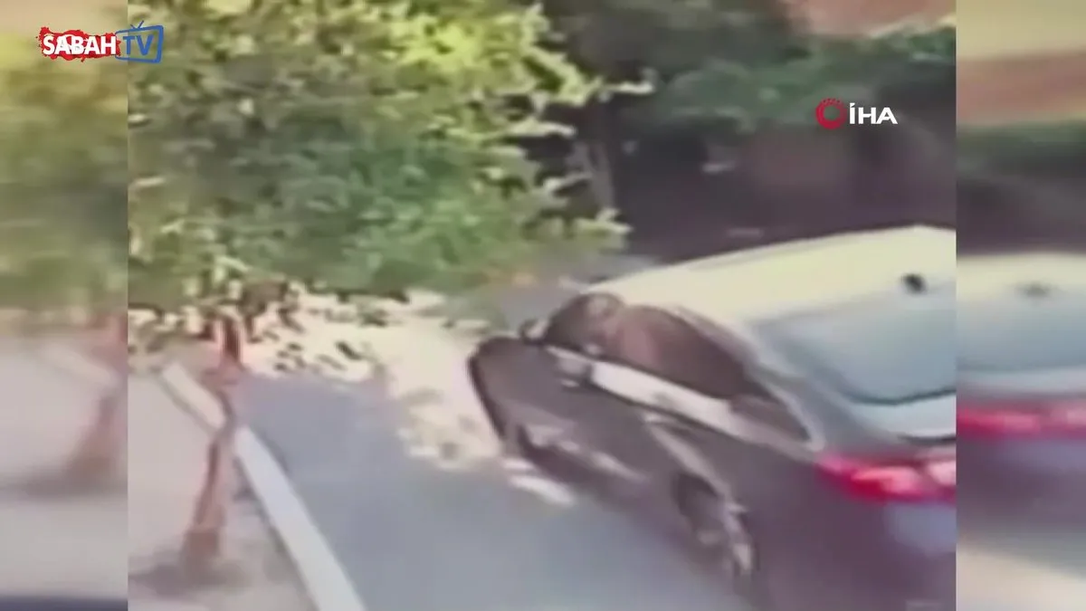 Köpeği aracıyla ezip öldüren sürücüye büyük tepki | Video