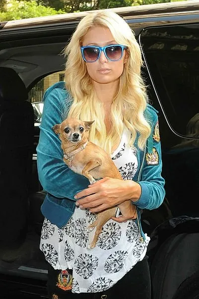 Paris Hilton transit yolcu olarak İstanbul’da