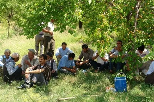 Elazığ'da silahlı saldırı