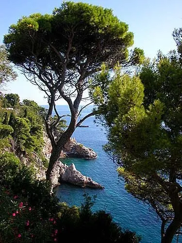 Dalmaçya’daki küçük İtalya: Dubrovnik