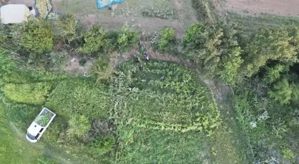 1787054133628.jpg
