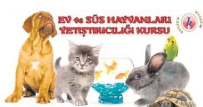 Belgesi Olmayan Pet Shop Acamayacak Kayseri Bolge Haberleri