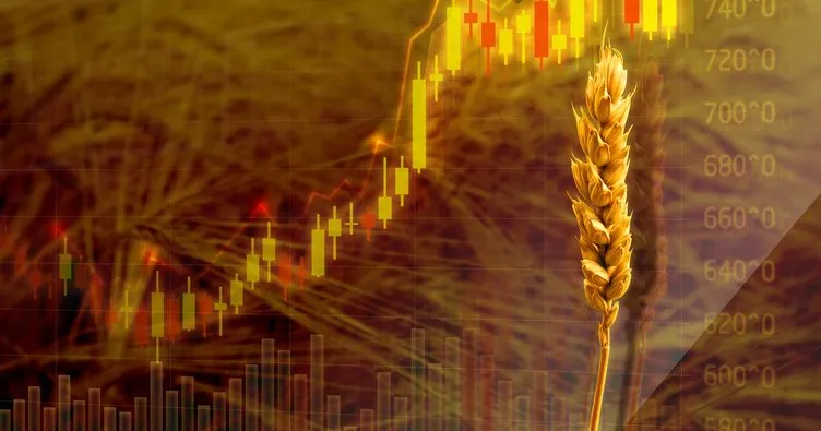 Buğday fiyatları ne kadar? Toprak Mahsulleri Ofisi 2022 Buğday - Arpa alım fiyatları kaç TL oldu? Başkan Erdoğan açıkladı