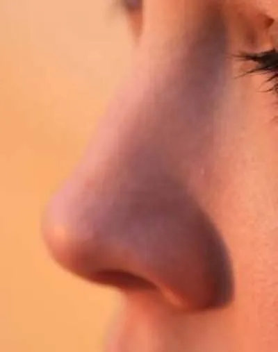 У кого такой нос. У кого такой нос. У кого такой нос. Горбатый нос. У кого такой нос.