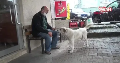Trabzon’da patisini tedavi ettiği köpekle esnaf arasındaki duygulandıran sevgi bağı kamerada | Video