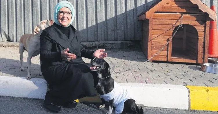 Emine Erdoğan Hayvanları Koruma Günü’nde ‘Leblebi’yi sahiplendi