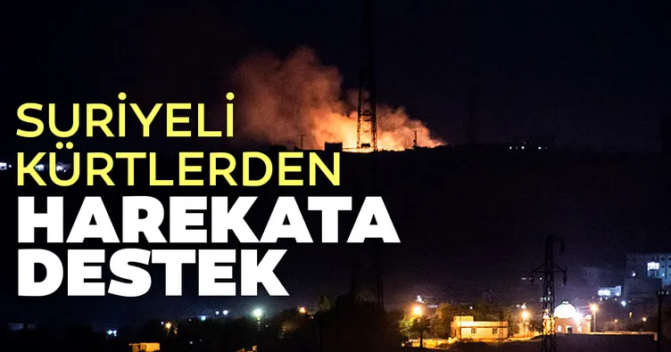 Suriyeli Kürtlerden Barış Pınarı Harekatı'na destek