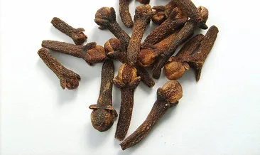 Karanfilin faydaları: Şifalı baharat karanfil ne işe yarar ve hangi hastalığa iyi gelir?