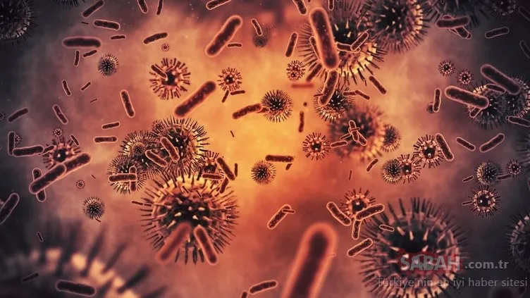 Corona virüsüyle merak edilmeye başlandı! İşte dünya tarihindeki en ölümcül salgın hastalıklar