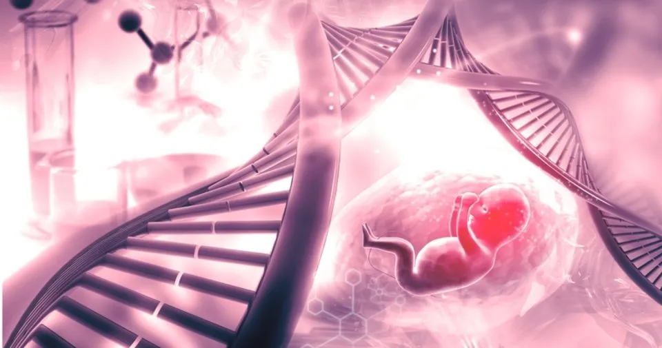 hamilelikte cati muayenesi nedir nasil