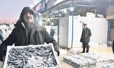 Ankara Hali’nde şampiyon hamsi