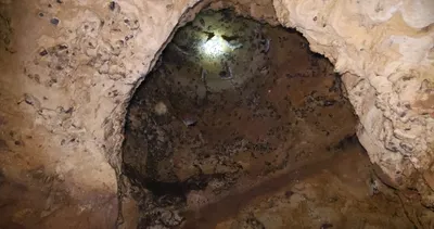 Hatay’daki bu mağara korku filmlerini aratmıyor! Giren dehşete düşüyor: İçeride binlerce...