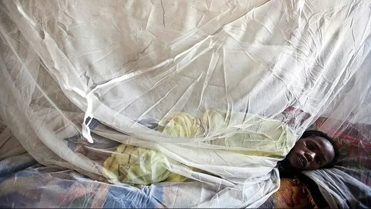 ABD’de virüs paniği! ‘Lassa ateşi’ can aldı