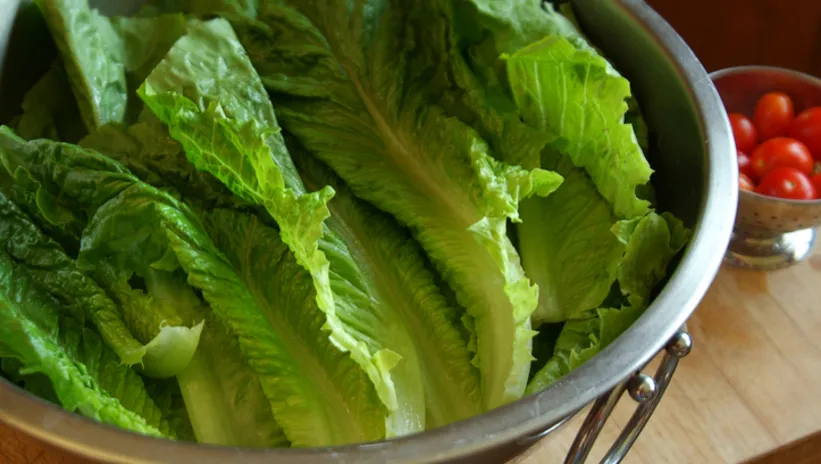 3 hafta taze kalıyor, yöntemi ise...