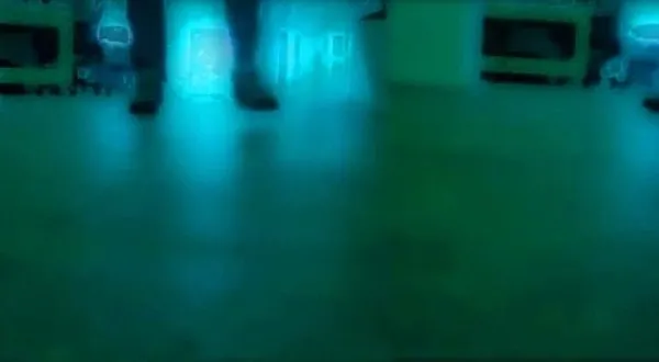 Hayvanlar dünyayı böyle görüyor