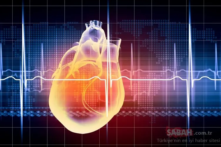 Kalbi hızlı atan daha az yaşıyor! Eğer kalbiniz 1 dakikada...