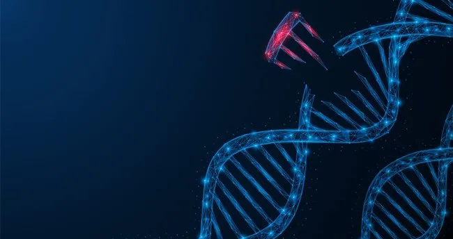 Hayvan hücresi organelleri ve özellikleri - Hayvan hücresinde sentrozom ...