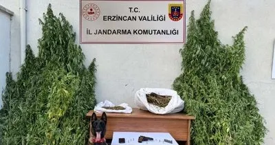 Erzincan’da jandarmadan uyuşturucu operasyonu; 1 şüpheli yakalandı #erzincan