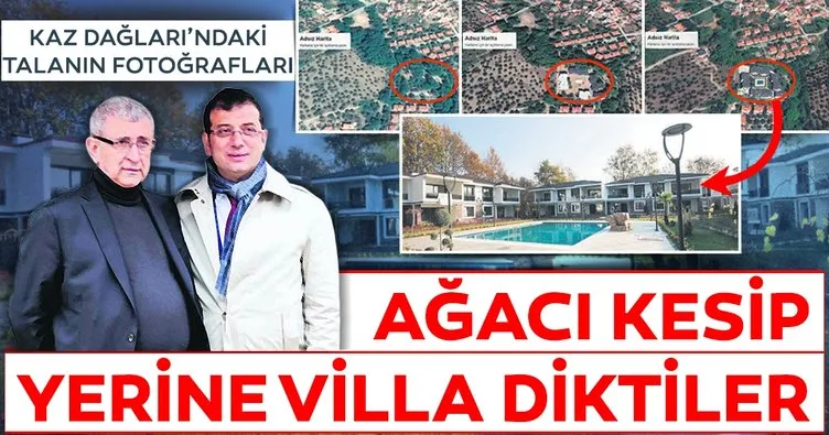 Ağacı kesip yerine villa diktiler