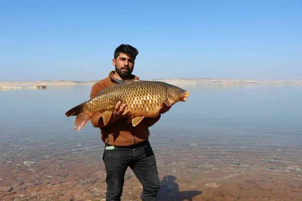 Şanlıurfa’da balık tutma yarışması renkli görüntülere sahne oldu