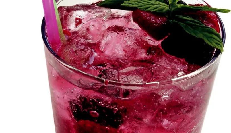 Meyveli Mojito