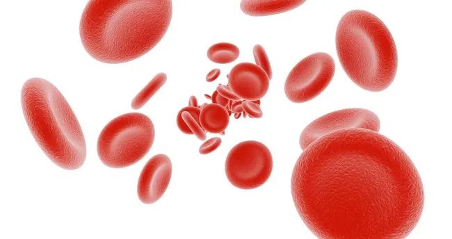 Hematoloji Neye Bakar? Hematoloji bölümü Nedir, Hematoloji Bölümü Hangi hastalıklara Bakar ve Hangi Testleri Yapar?
