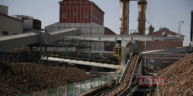 Türkiye Şeker Fabrikaları personel alımı başvuru sonuçları açıklanıyor! Şeker Fabrikaları kura çekimi ne zaman yapılacak?