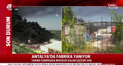 Antalya’da organize sanayi bölgesinde fabrika yangını