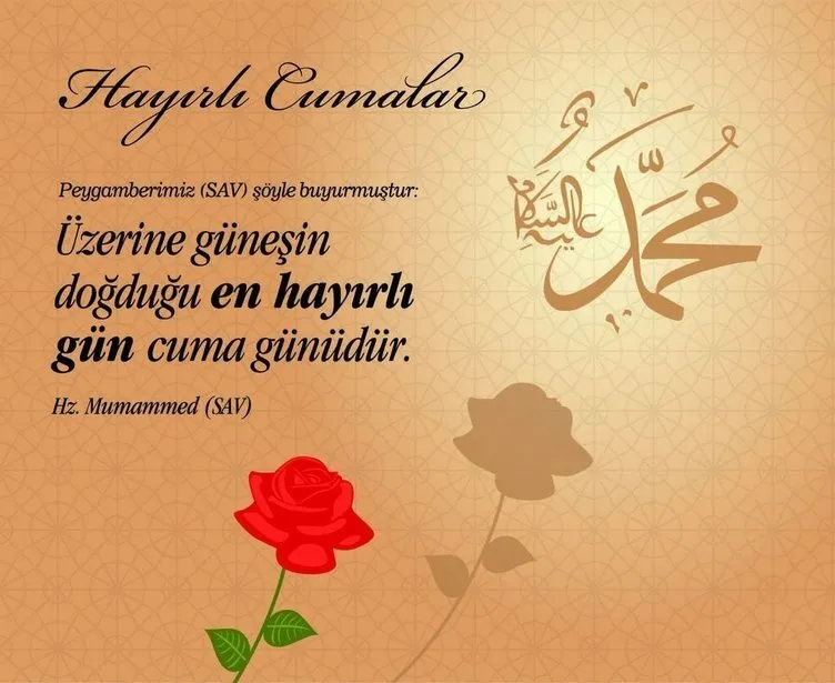 İlgili resim