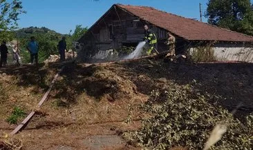 Uyarılara kulak asılmadı bir günde 10 yangın çıktı #bartin