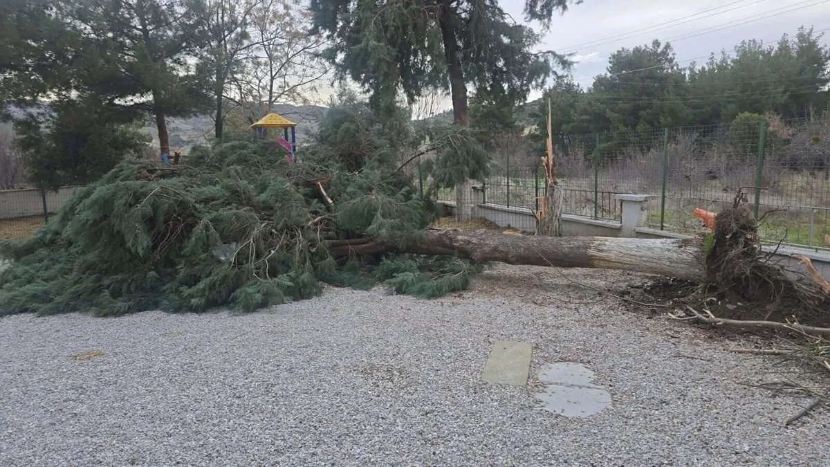 Buldan’da kuvvetli fırtına, baca kapağını uçurdu, ağacı devirdi Buldan’da kuvvetli fırtına, baca kapağını uçurdu, ağacı devirdi