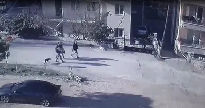 Futbol tutkunu Pamuk kaza kurbanı oldu #denizli Futbol tutkunu Pamuk kaza kurbanı oldu #denizli