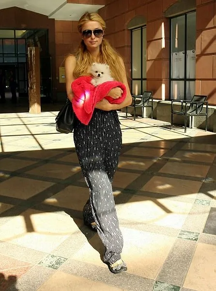 Paris Hilton transit yolcu olarak İstanbul’da