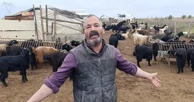 Antalya’da sokak köpekleri 25 keçiyi telef etti #antalya