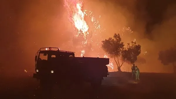 Tarihi Gelibolu Yarımadası'nda orman yangını! Havadan ve karadan müdahale sürüyor