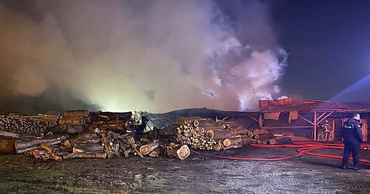 Bursa’da palet fabrikasında yangın