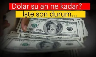 Dolar bugün ne kadar kaç TL? 27 Aralık euro dolar alış satış fiyatı...