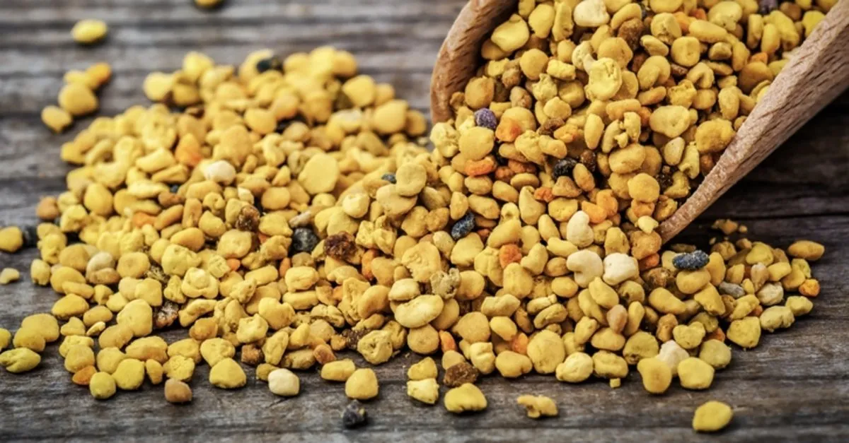 propolis nasil kullanilir propolis her gun kullanilir mi faydalari ve zararlari nelerdir egitim haberleri