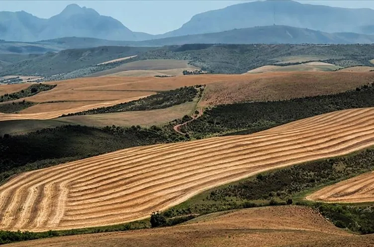 SON DAKİKA: Yüzyılın projesinde arsa atağı! Kimler başvurabilir: İşte 1 milyon arsanın illere göre dağılımı