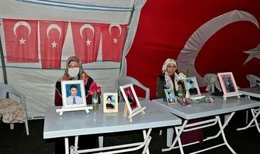 Diyarbakır’daki tarihi direniş 207. gününde! Evlatlarını bekliyorlar