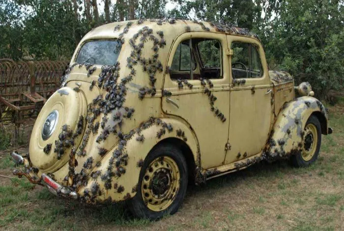 Dunyanin Ilginc Olaylari Ve Fotograflari Galeri Teknokulis