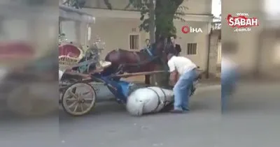 İstanbul Büyükada’da faytona koşulan atın içler acısı hali kamerada