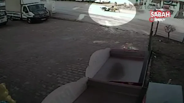Ankara'da başıboş köpeklerin küçük çocuğa saldırdığı anlar kamerada | Video