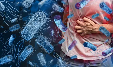 Uzmanlardan gıda zehirlenmesi alarmı! Dışarıda yemek yerken bunlara dikkat edin...