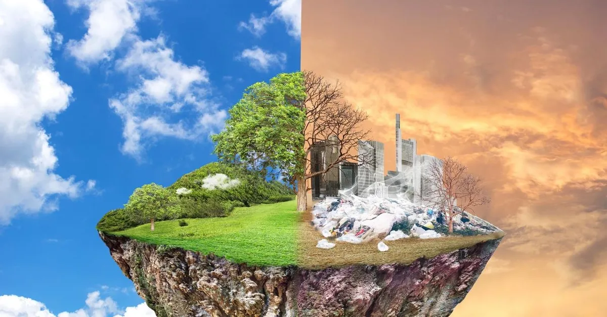 dunya da gorulen iklim tipleri nelerdir