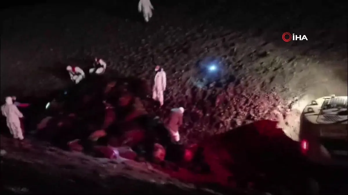 Iğdır’da arı saldırısının bilançosu: Telef olan koyun sayısı 816 oldu | Video videosunu izle Iğdır’da arı saldırısının bilançosu: Telef olan koyun sayısı 816 oldu | Video videosunu izle