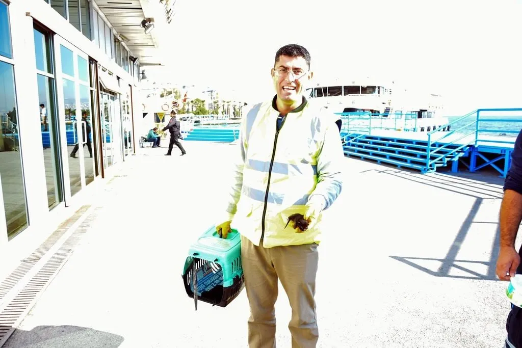 Yavrularını gemide doğurdu FotoHaber Yaşam
