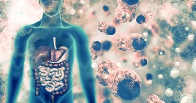 Dikkat! Bu belirtiler varsa vücudunuz istila altında! İşte vücudu toksinlerden arındıran besinler...