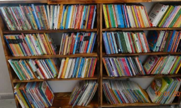 Rüyada roman görmek ne anlama gelir?