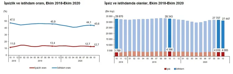 son-dakika-tuik-issizlik-rakamlarini-acikladi-1610348868121.jpg